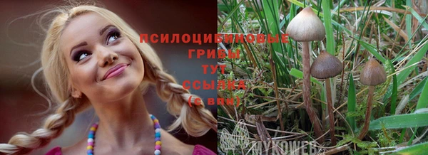 a pvp Волосово